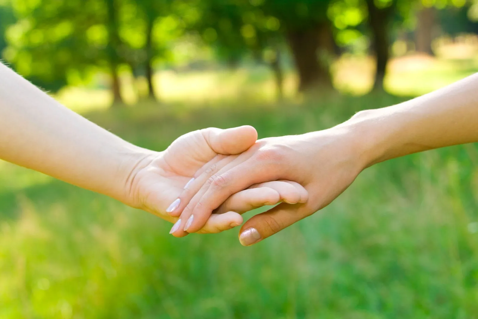 Hình ảnh em nắm tay anh đưa anh đi cùng nhau, tin tưởng dẫn lối