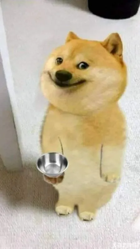 Chú chó đói rồi, đi xin cô ta cho ăn đồ ngon thôi nào