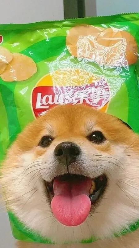 Ở đây đang có một gói snack thật to và chất lượng đợi bạn ăn