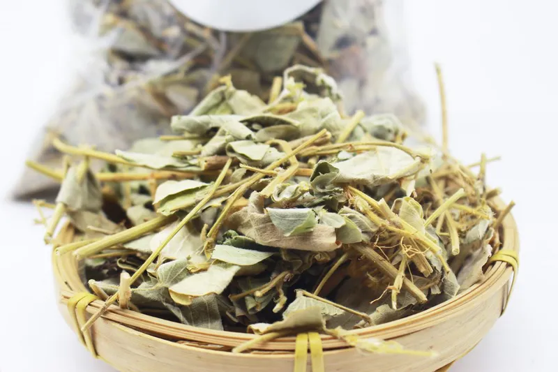 So sánh hình ảnh cây kim tiền thảo tươi và kim tiền thảo khô
