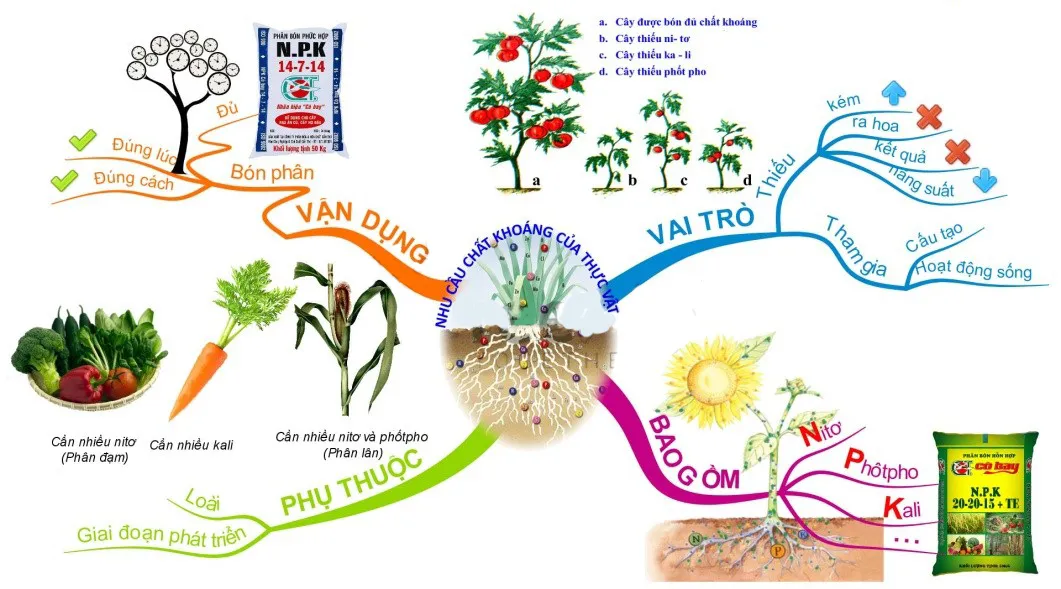 Hạn chế sử dụng phân bón hóa học trong nông nghiệp