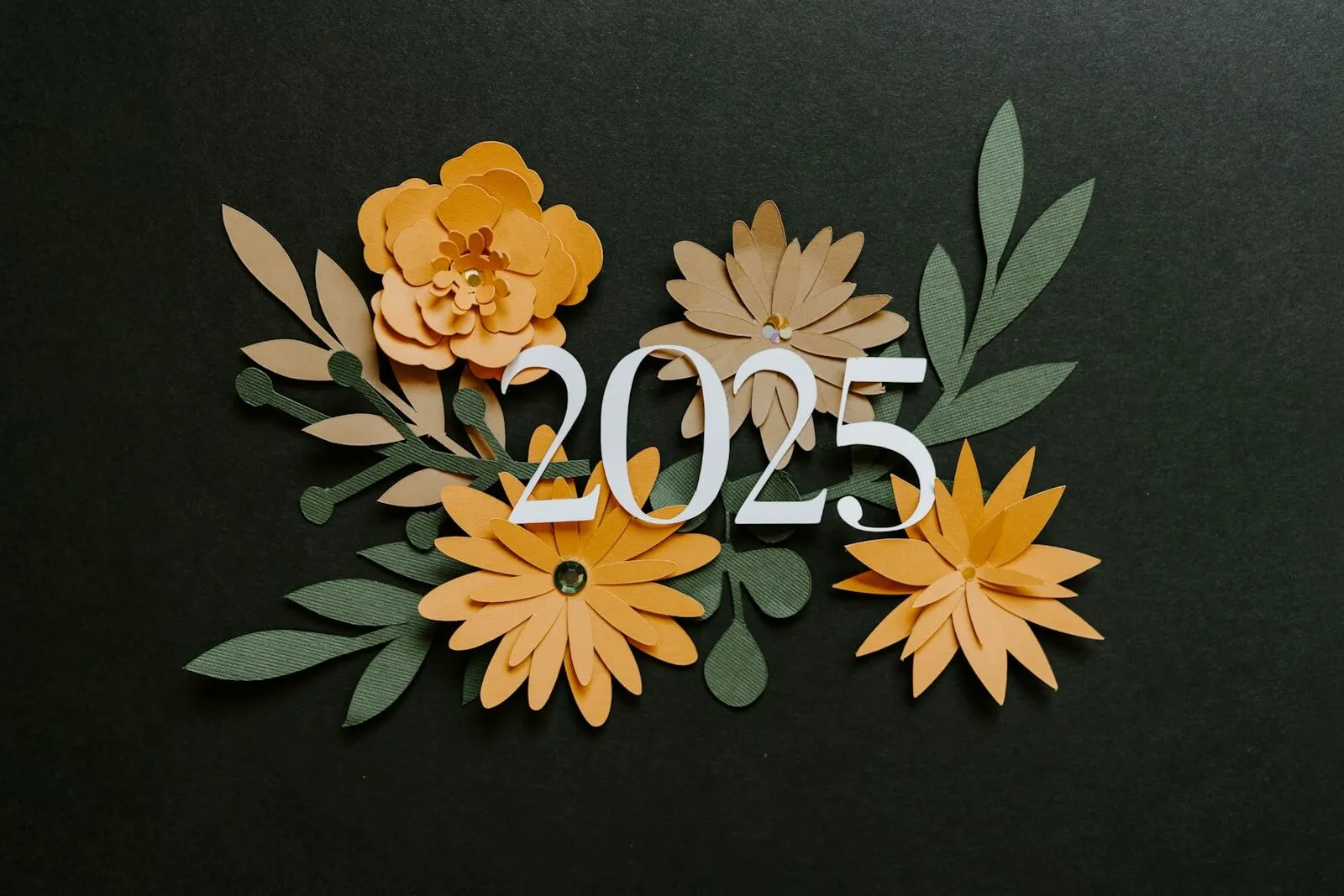 hinh anh hoa xuan 2025