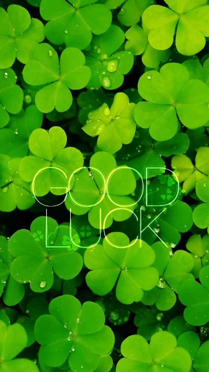 Cỏ 4 lá cho điện thoại với hiệu ứng bokeh