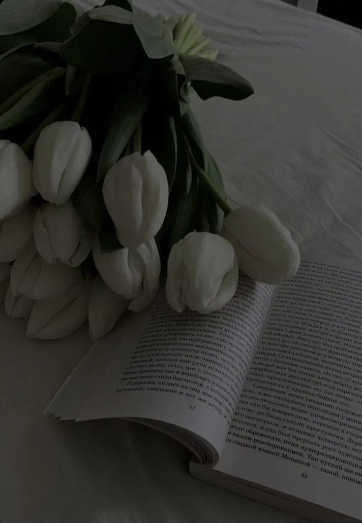 Hình nền hoa tulip buồn cô đơn trên nền đen