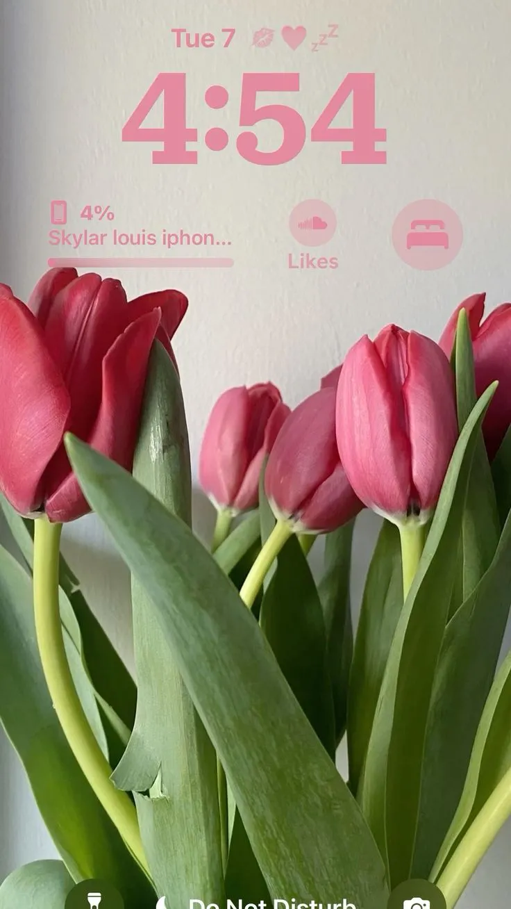 Hình nền hàng rào hoa tulip rực rỡ sắc màu
