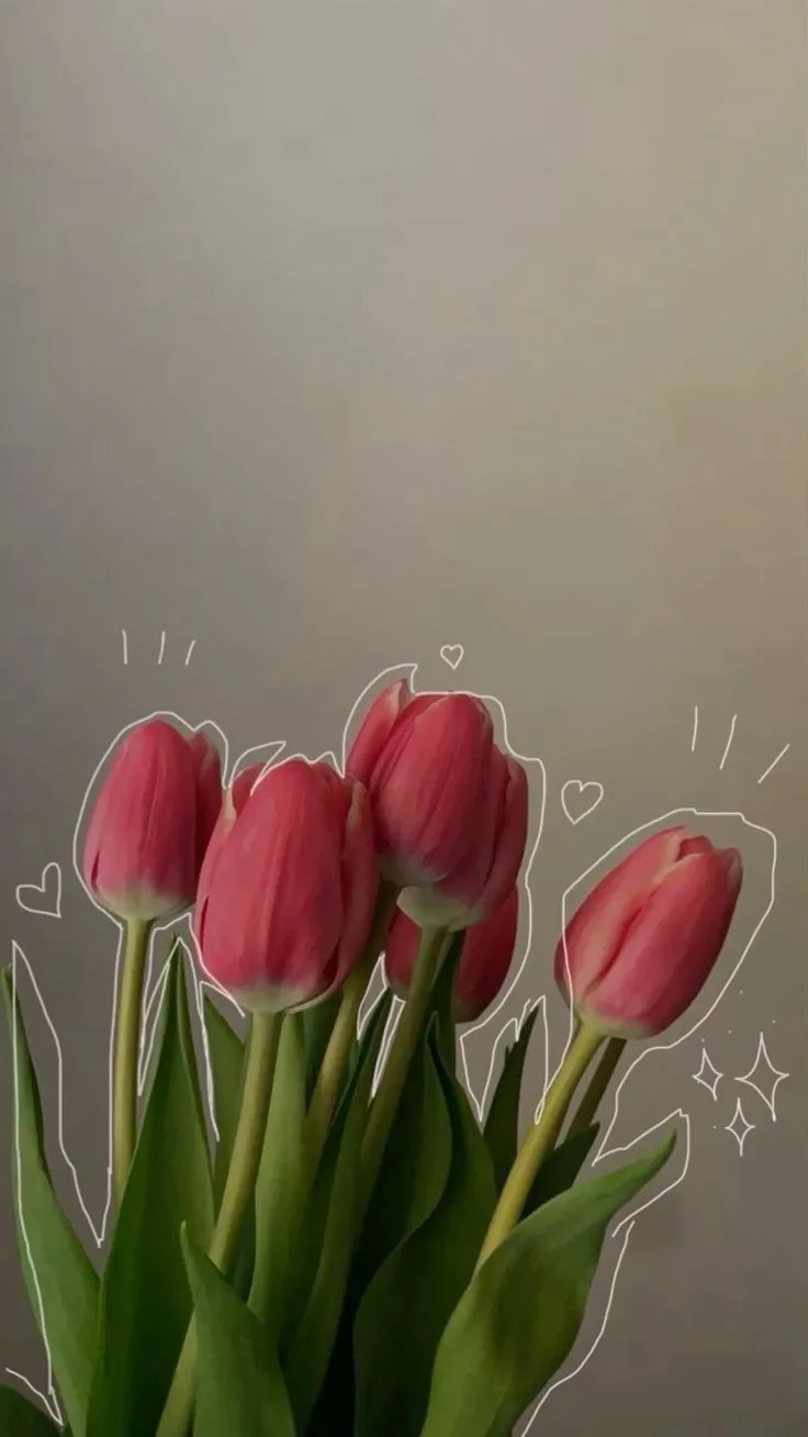 Hình nền tulip tím nở rộ giữa không gian xanh