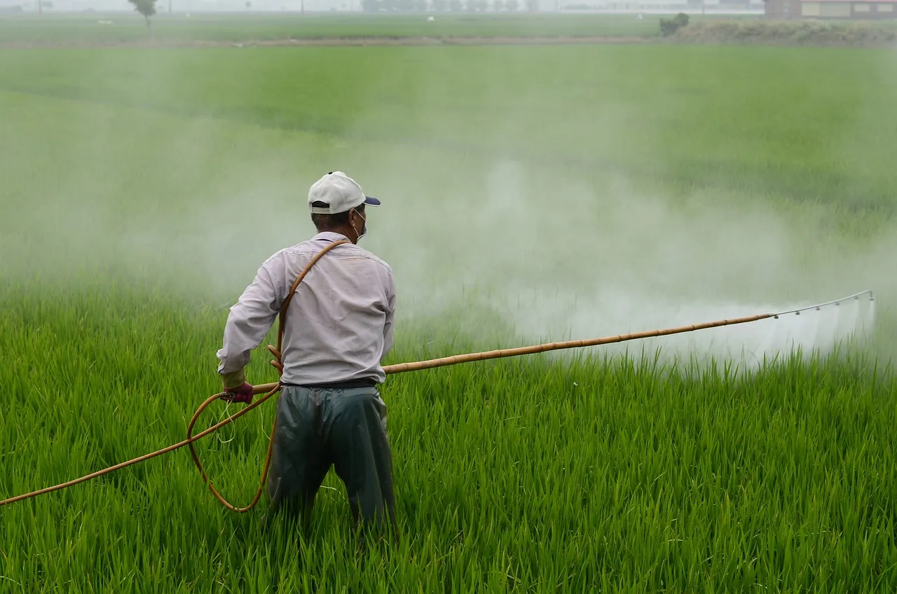 Người nông dân phun thuốc trừ sâu gây ô nhiễm môi trường đất