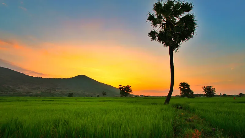 Dòng sông êm đềm uốn lượn qua những hàng cây xanh mướt và những ngôi nhà ven sông, mang đến vẻ đẹp thanh bình của làng quê cho màn hình máy tính.