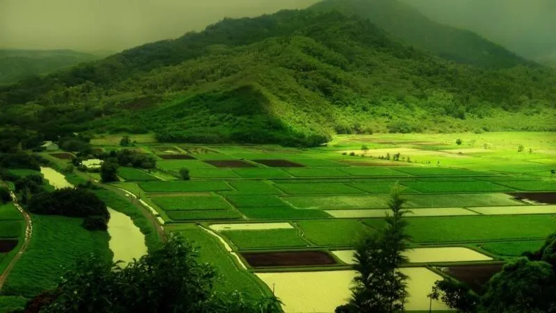 Cầu đá cong bắc qua con suối nhỏ, với cây cối và hoa lá rực rỡ bao quanh, một hình ảnh làng quê tươi đẹp để tải làm hình nền máy tính.