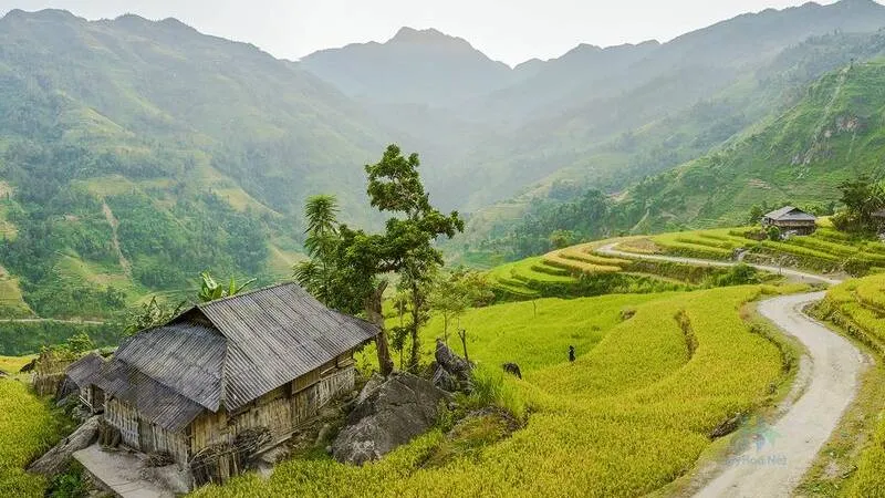 Ngôi nhà mái ngói cổ kính nằm giữa khu vườn xanh tươi, bao quanh bởi những cánh đồng và bầu trời trong xanh, tạo nên một bức ảnh làng quê yên bình.