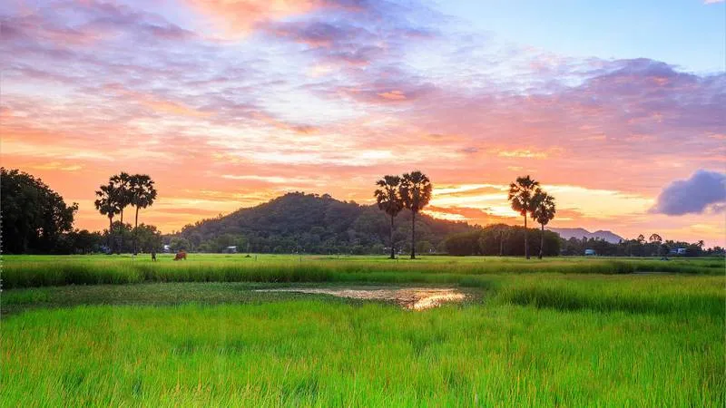 Con đường đất quanh co giữa hàng cây xanh mướt, dẫn vào một ngôi làng yên ả, thể hiện vẻ đẹp mộc mạc của phong cảnh làng quê cho máy tính.