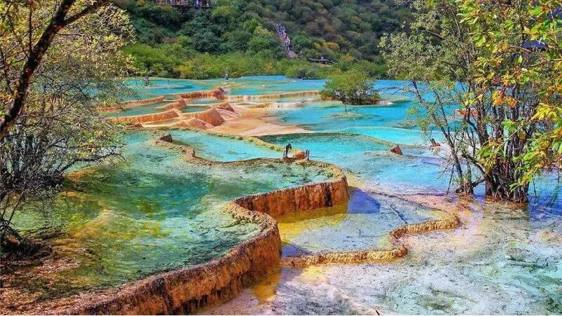 Hoàng hôn trên sông với ánh nắng vàng rực rỡ chiếu rọi qua những hàng cây, tạo nên một khung cảnh sông suối thơ mộng, hoàn hảo cho hình nền máy tính.