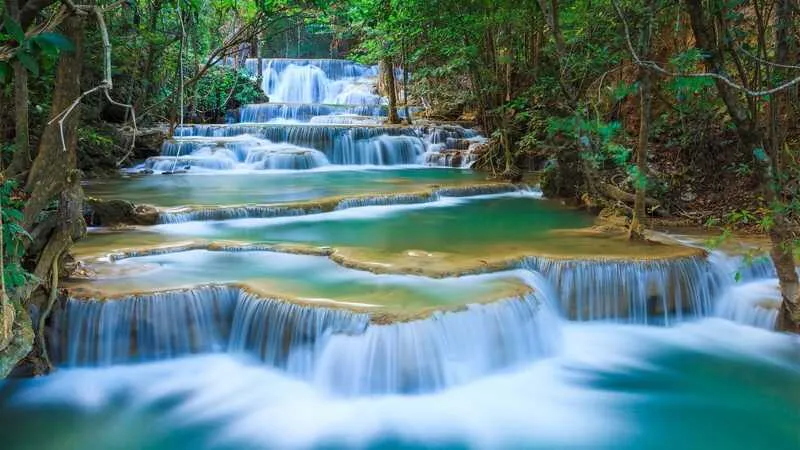 Dòng suối trong vắt chảy qua khu rừng xanh tốt, ánh nắng xuyên qua tán cây tạo nên những vệt sáng lấp lánh, một cảnh sông suối yên bình cho hình nền máy tính.