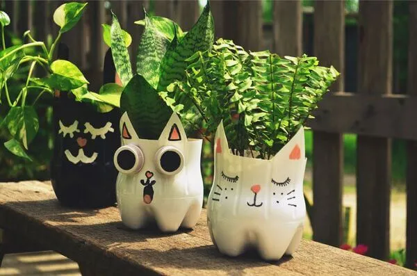 Bộ sưu tập chậu cây mini xinh xắn được tái chế từ chai nhựa cũ, góp phần tạo nên những ảnh tái chế rác thải đầy cảm hứng.