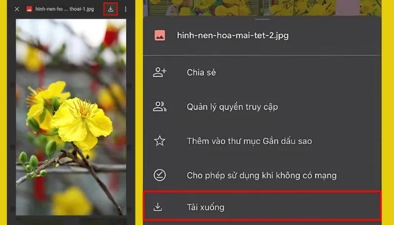 Tải hình nền hoa Mai cho điện thoại