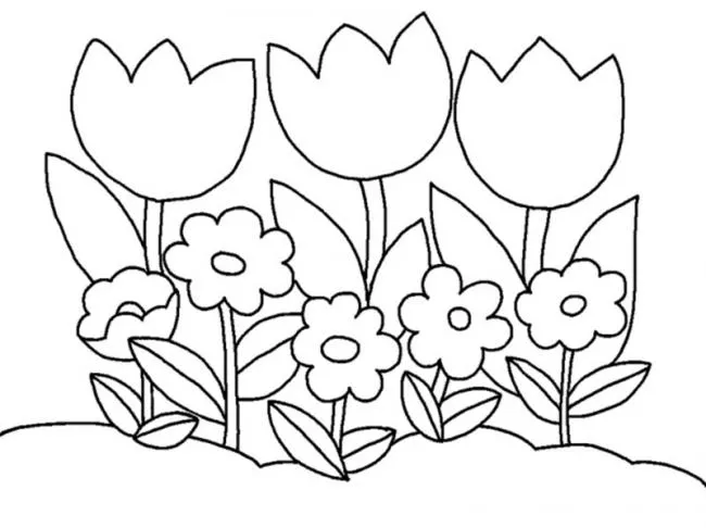 Bức tranh tô màu hoa tulip dáng thanh lịch