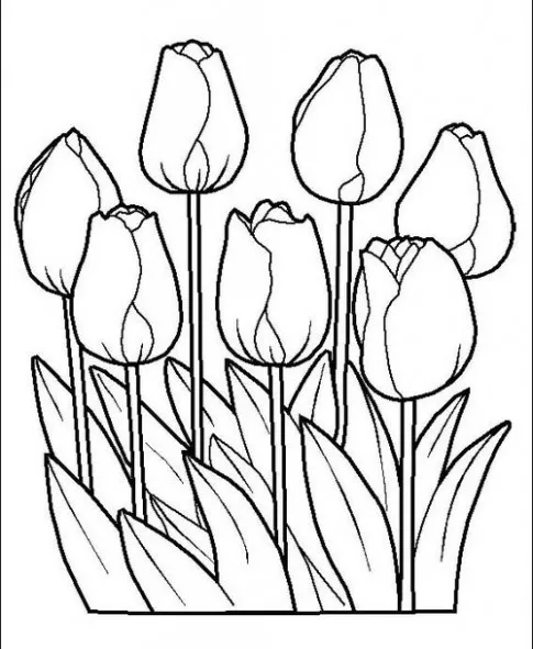 Trang tô màu một bông hoa tulip đang vươn cao