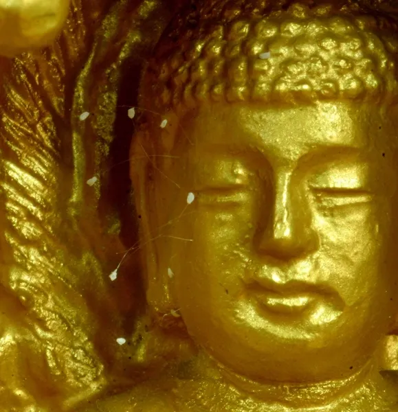 Hình ảnh hoa Ưu Đàm nở trên tượng Phật tại chùa Sumi Zen ở Gyeongju, Hàn Quốc.