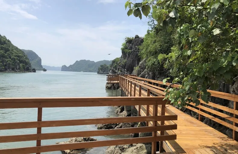 Bãi Soi Sim - Vẻ đẹp hoang sơ với rừng sim thơ mộng