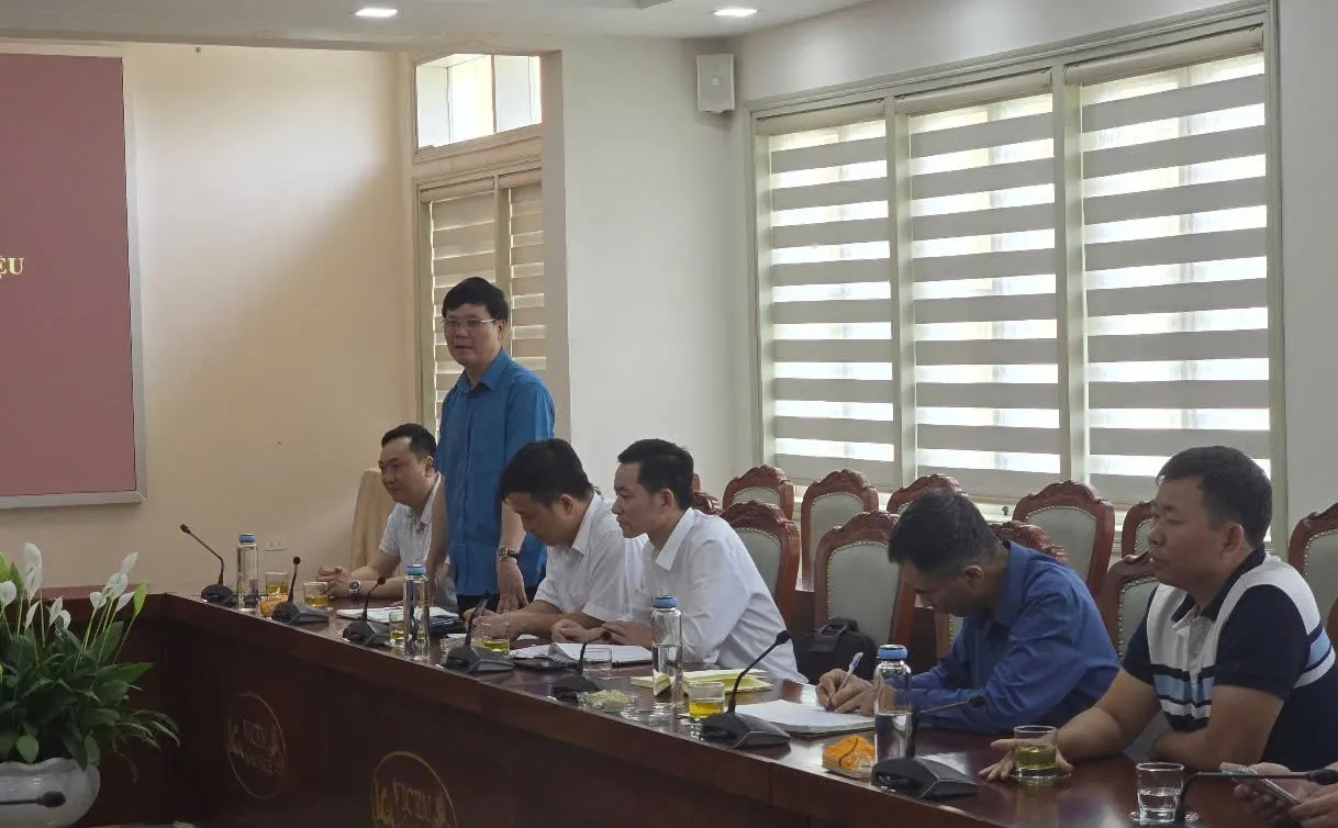Chuyên gia hướng dẫn cách phác thảo bố cục tranh thiên tai