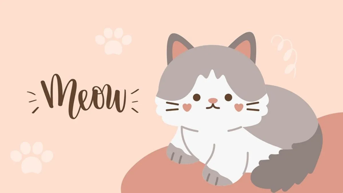 Ảnh bìa Facebook cute với mèo con ngộ nghĩnh