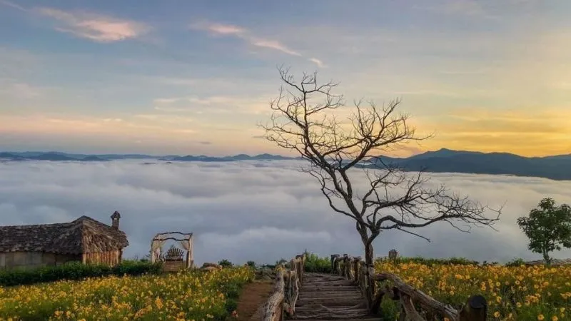 Thành phố Đà Lạt phủ sương trong buổi sáng
