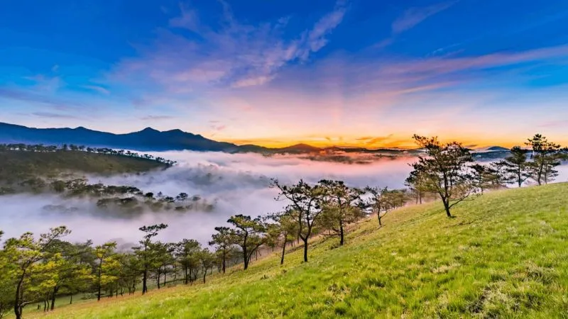 Con đường lãng mạn dẫn vào Đà Lạt