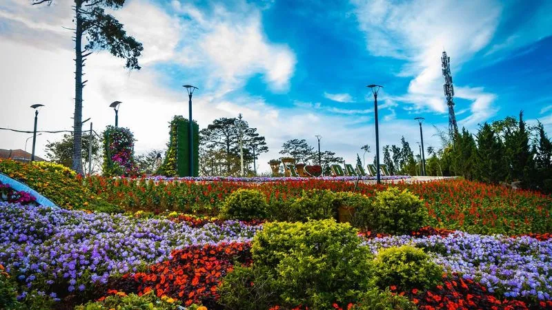 Thiên đường hoa Đà Lạt nhìn từ trên cao