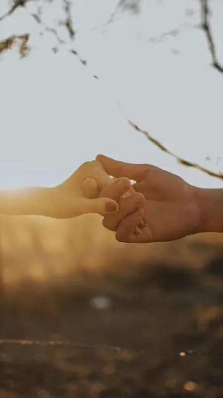 Cặp đôi nắm tay dưới tán cây xanh mát, khung cảnh thơ mộng và dịu dàng