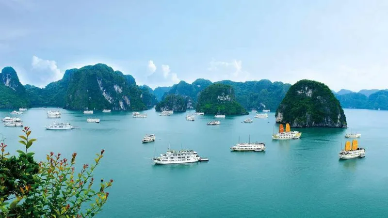 anh-viet-nam-7