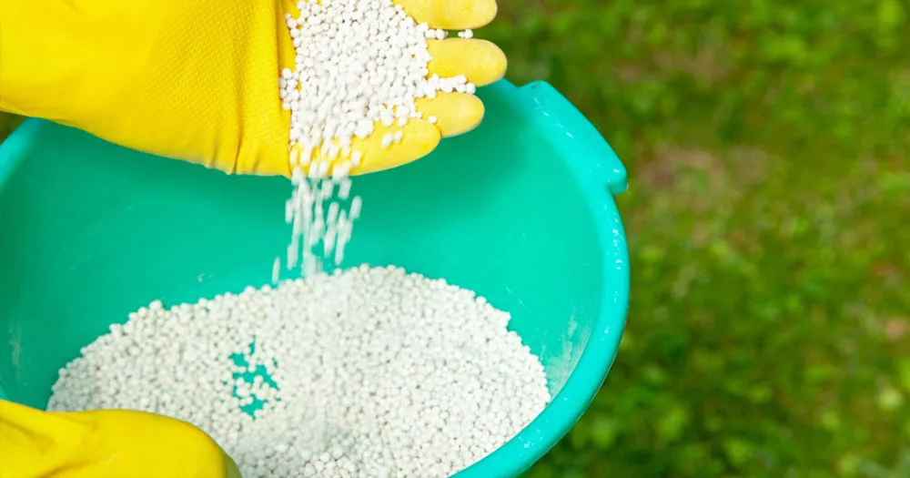 Cách bón phân đạm đúng cách để cây không bị ngộ độc