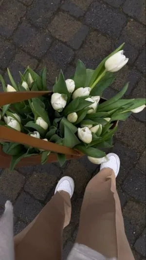 Khung cảnh hoa tulip trắng thanh bình