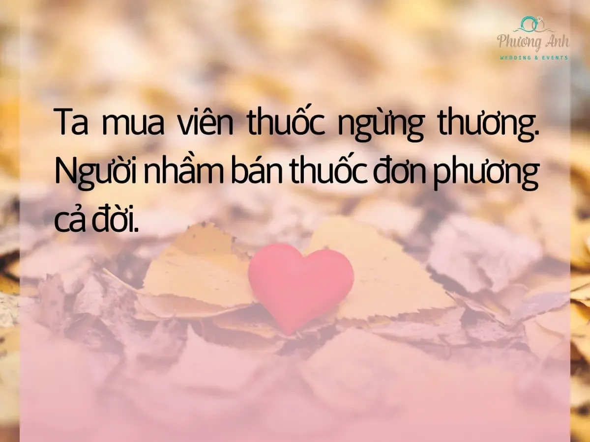 Status đơn phương hài hước nhưng lắng đọng