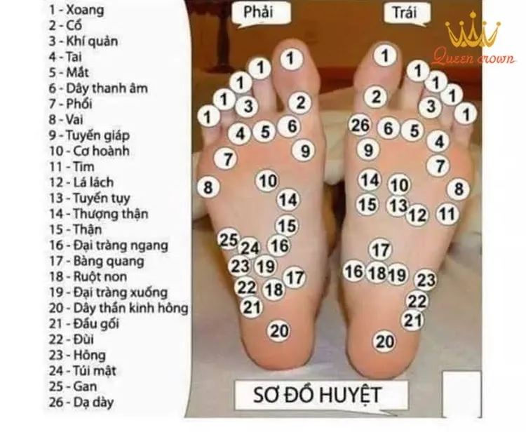 Bản đồ huyệt lòng bàn chân