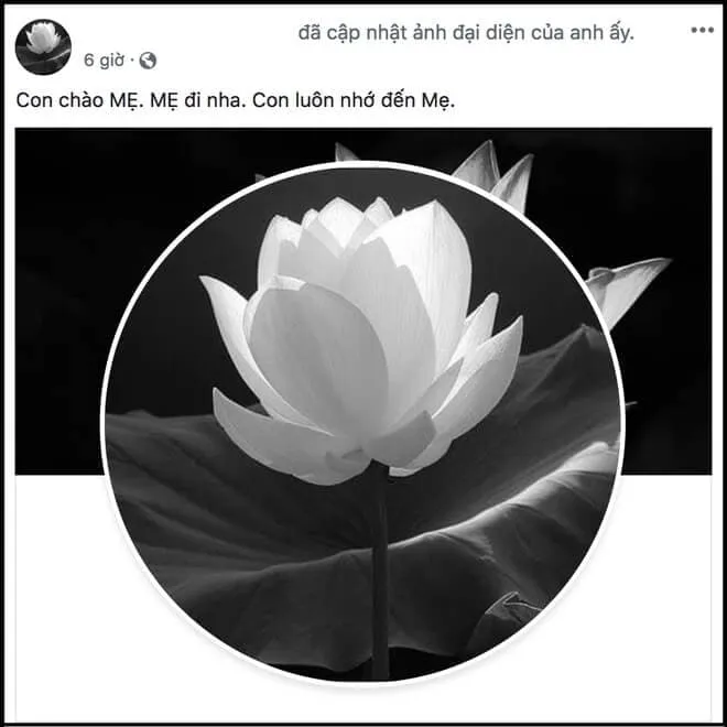 Người dùng mạng xã hội sử dụng hình ảnh sen trắng nền đen để chia sẻ nỗi buồn