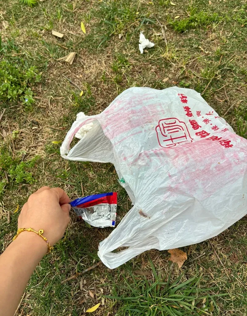 Cây xanh lá phổi của hành tinh