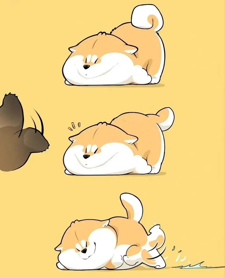 Chú chó Shiba chibi với biểu cảm hài hước và ngạc nhiên, rất độc đáo