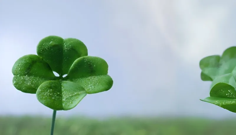 Cỏ 4 lá cho máy tính tươi mới