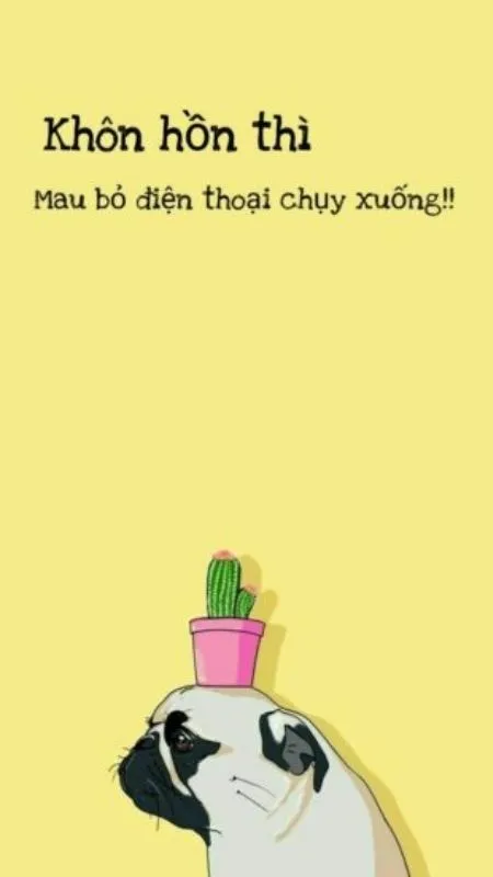 hình nền điện thoại biểu cảm hài hước