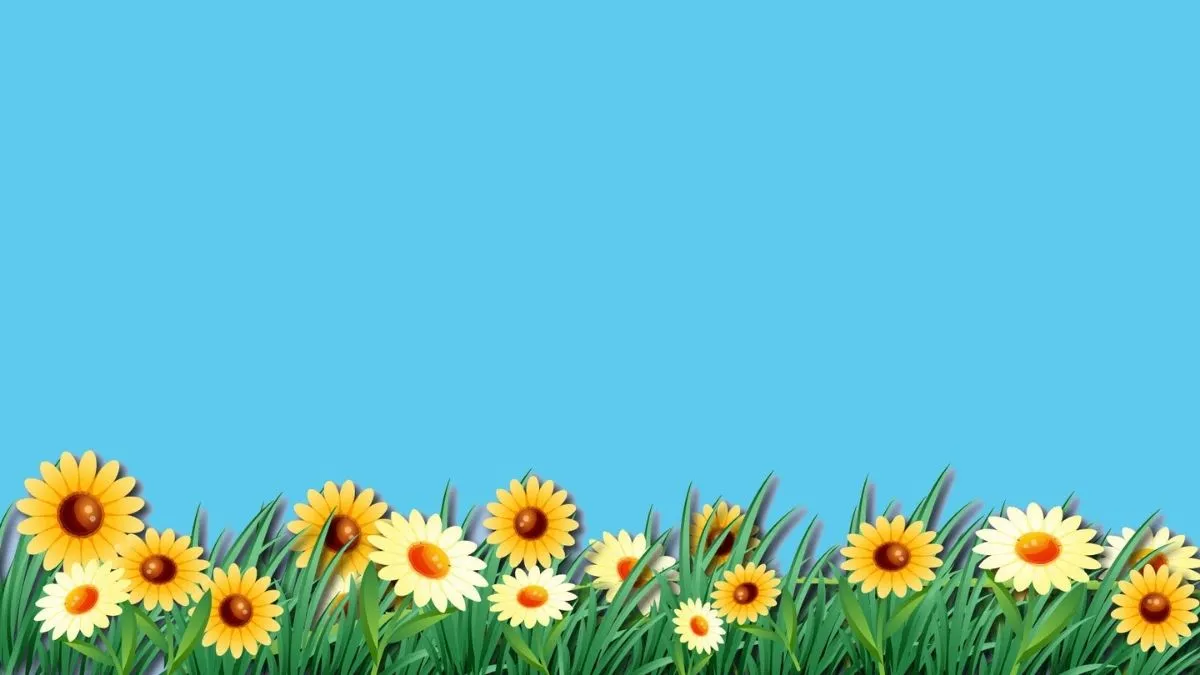 Background Powerpoint xanh dương kèm hoa hướng dương