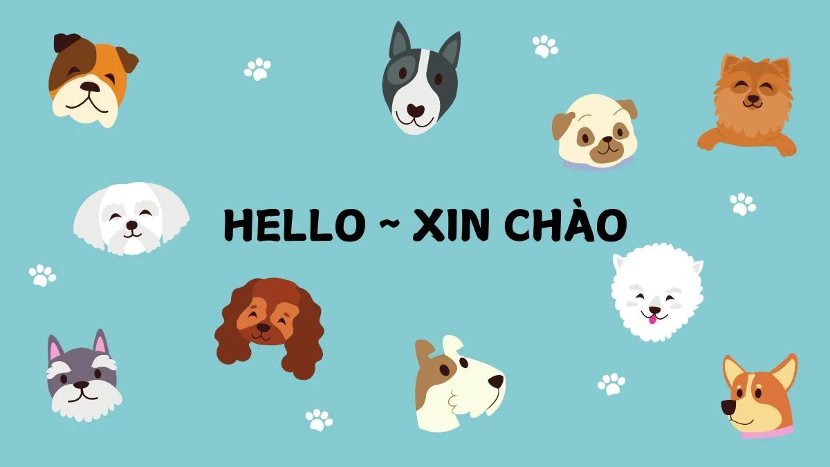 Hình nền slide Powerpoint mở đầu động vật đẹp, hài hước