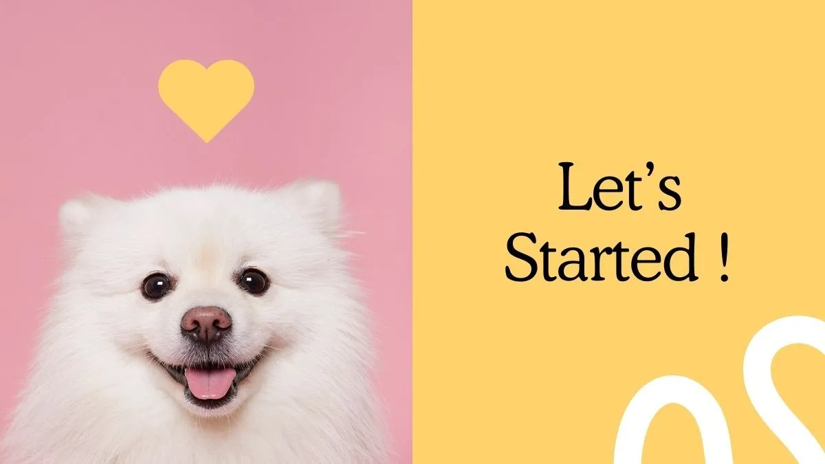 Hình nền slide Powerpoint mở đầu động vật cute, đầy màu sắc