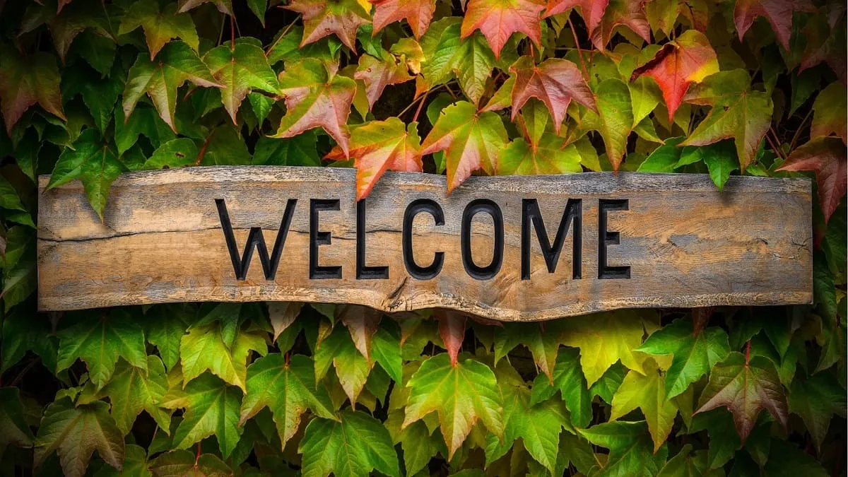 Hình nền slide welcome Powerpoint 4K với hiệu ứng chuyển động nhẹ