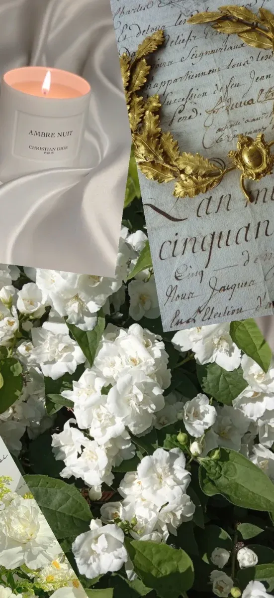 Hình vòng nguyệt quế may mắn 13