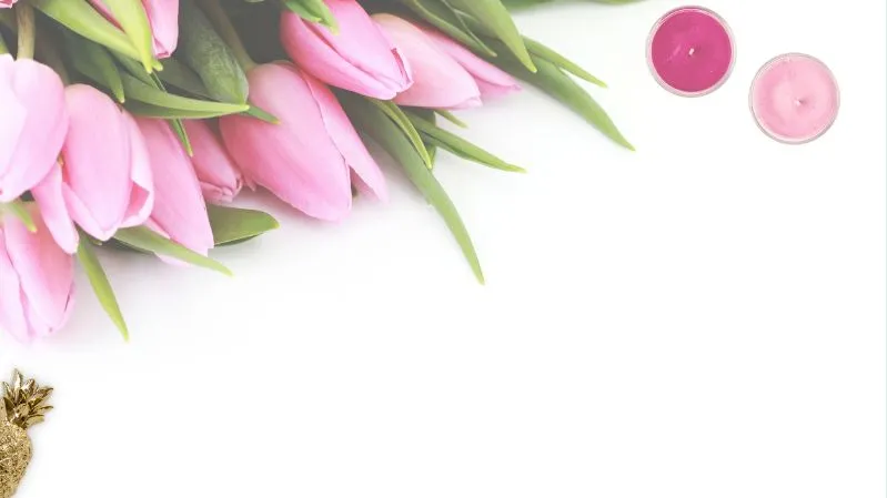 Hình nền hoa tulip màu hồng cho máy tính