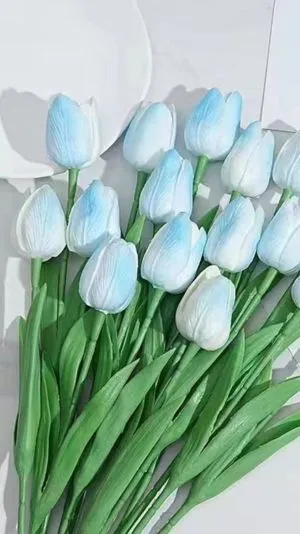 Hình nền hoa tulip xanh