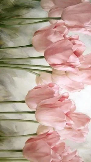 Hình nền hoa tulip vẽ hiện đại