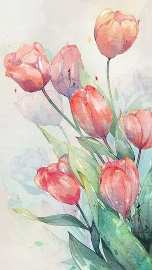 Hình nền hoa tulip vẽ sắc nét