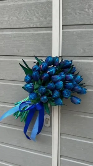 Hoa tulip màu xanh lam huyền ảo