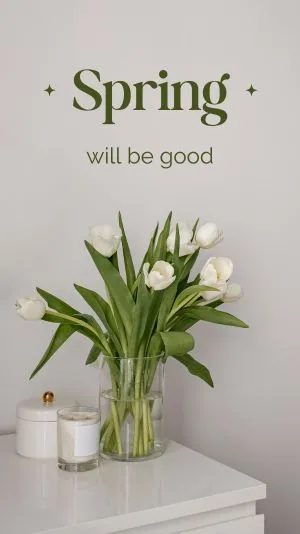 Hoa tulip trắng mùa xuân